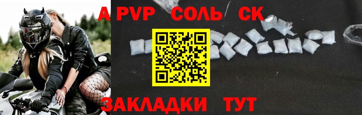 Альфа ПВП СК Новочеркасск