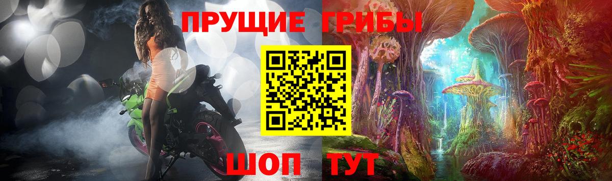 Галлюциногенные грибы прущие грибы Новочеркасск