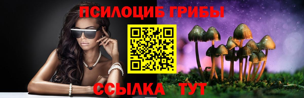 Галлюциногенные грибы Cubensis  Вход с VPN  Новочеркасск 